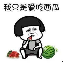 娱乐吃瓜押韵,笑料连连