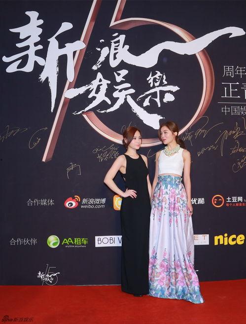 新浪娱乐十五周年庆典,璀璨回首，共筑辉煌未来